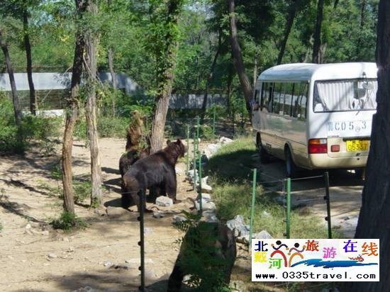 秦皇岛野生动物园