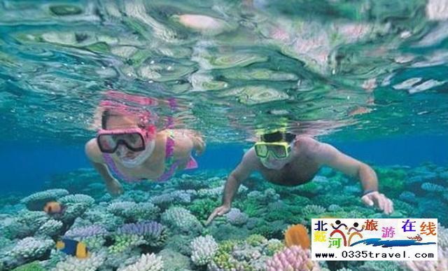 北戴河旅游在线