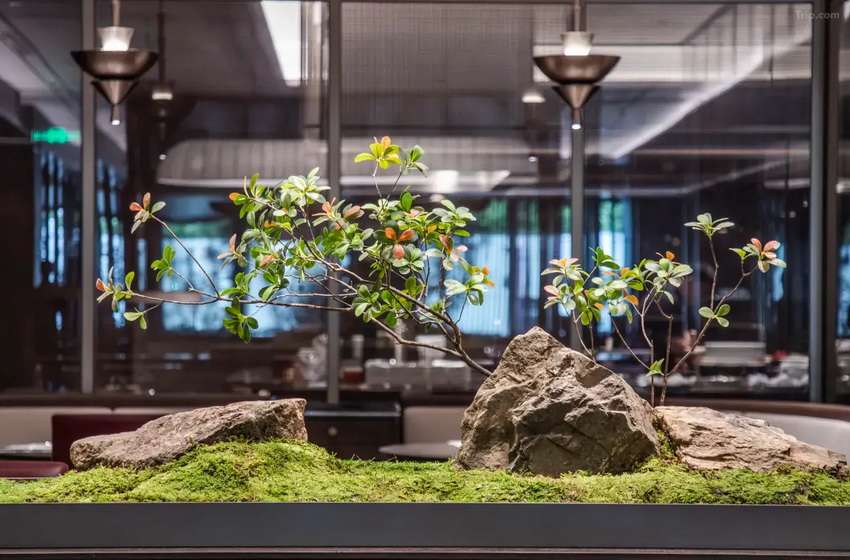秦皇岛万达文华酒店